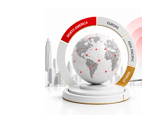 Global Diversification Beyond Domestic Markets
